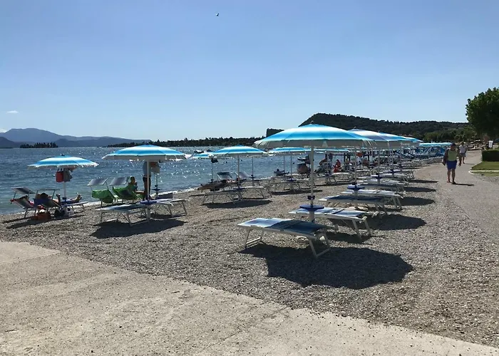 Cinzia's *